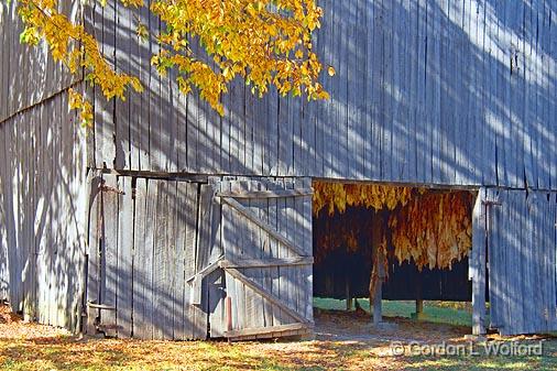 Tobacco Barn Door_24776.jpg - Photographed along the Natchez Trace Parkway in Tennessee, USA.
